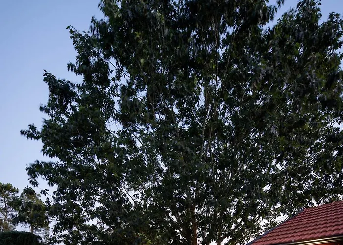 Quintinha Do Varoso - Little Red House Сasa de vacaciones São Pedro do Sul